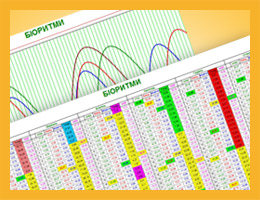 Таблиця / графік біоритмів на рік